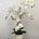 Macetero de orquideas blancas - Imagen 2