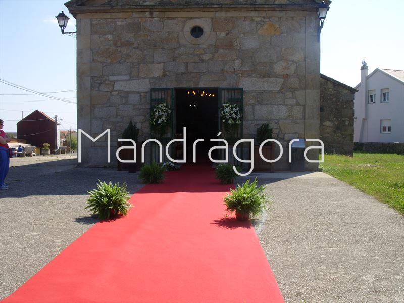 Boda en Carreira - Imagen 5