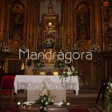 Boda en Ribeira - Imagen 2