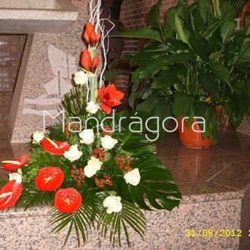 Boda en Santa Clara - Imagen 2