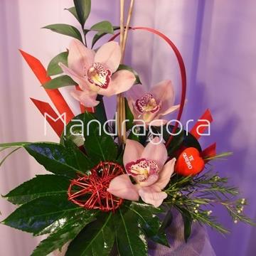 Centro de orquídeas - Imagen 1