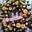 Corona de defunción de gerberas y orquídeas - Imagen 1