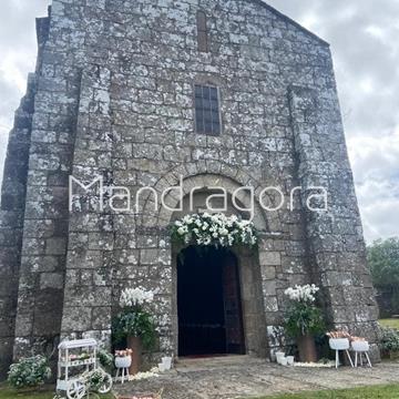 Decoración de Fachada de Iglesia - Imagen 2