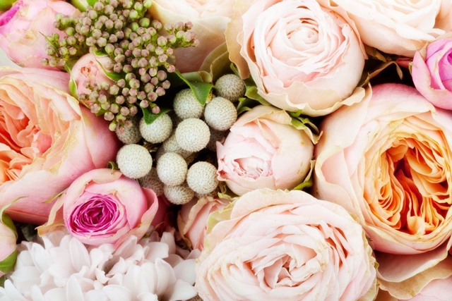 Flores