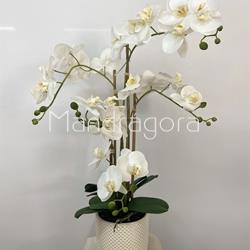 Macetero de orquideas blancas - Imagen 2