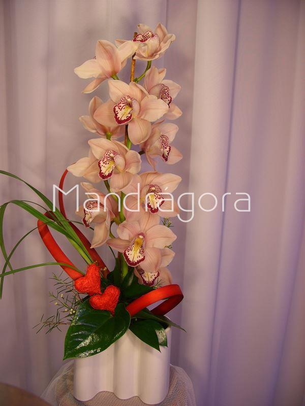 Orquidea preparada - Imagen 1