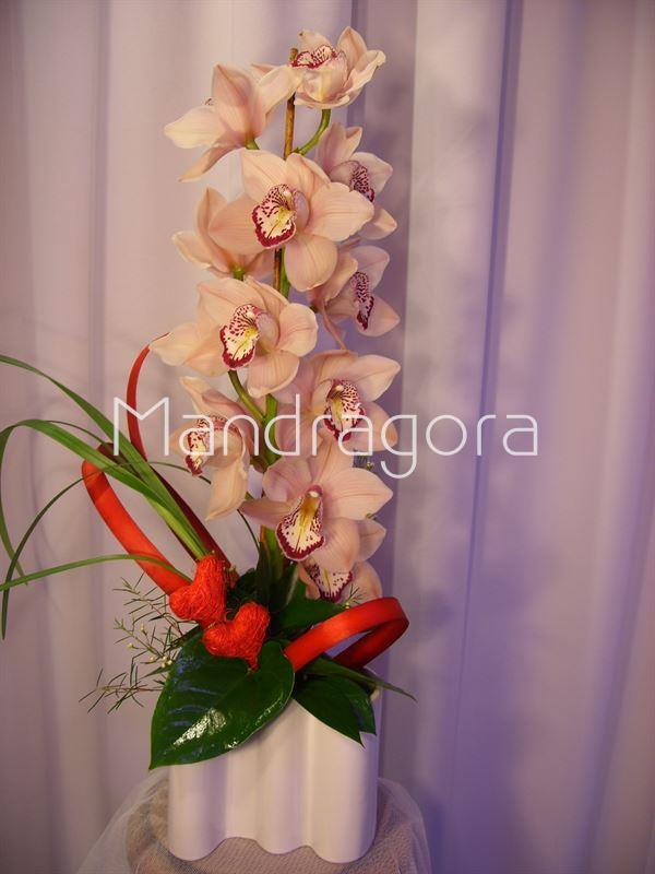 Orquidea preparada - Imagen 2