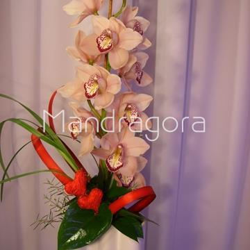 Orquidea preparada - Imagen 2