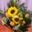 Ramo de flores variadas con girasoles - Imagen 1