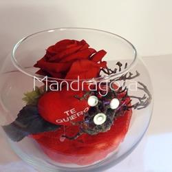 Rosa eterna en pecera - Imagen 1