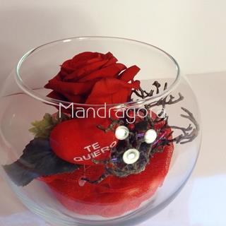 Rosa eterna en pecera - Imagen 1