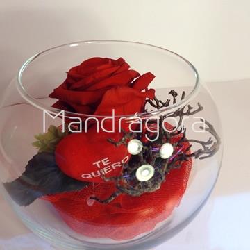 Rosa eterna en pecera - Imagen 1